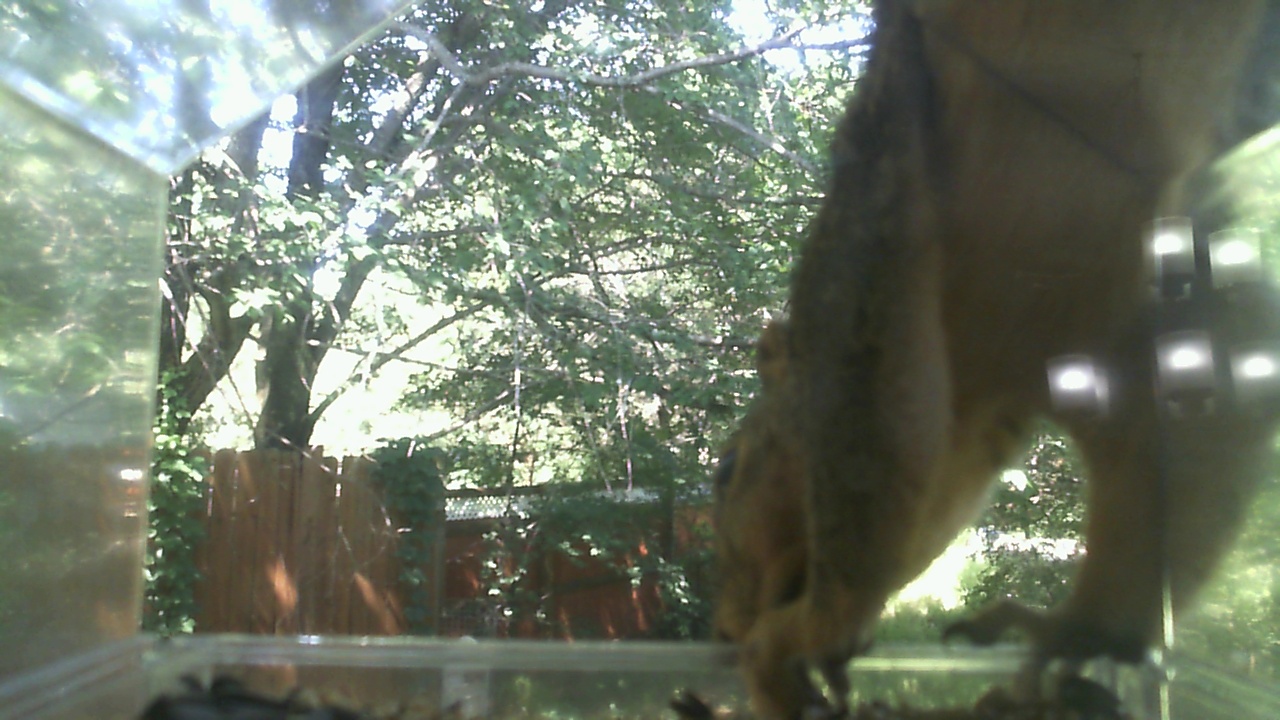 Unknown