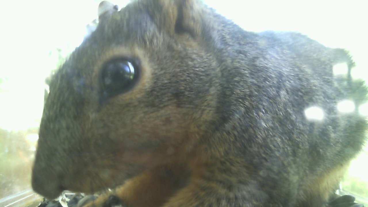 Unknown