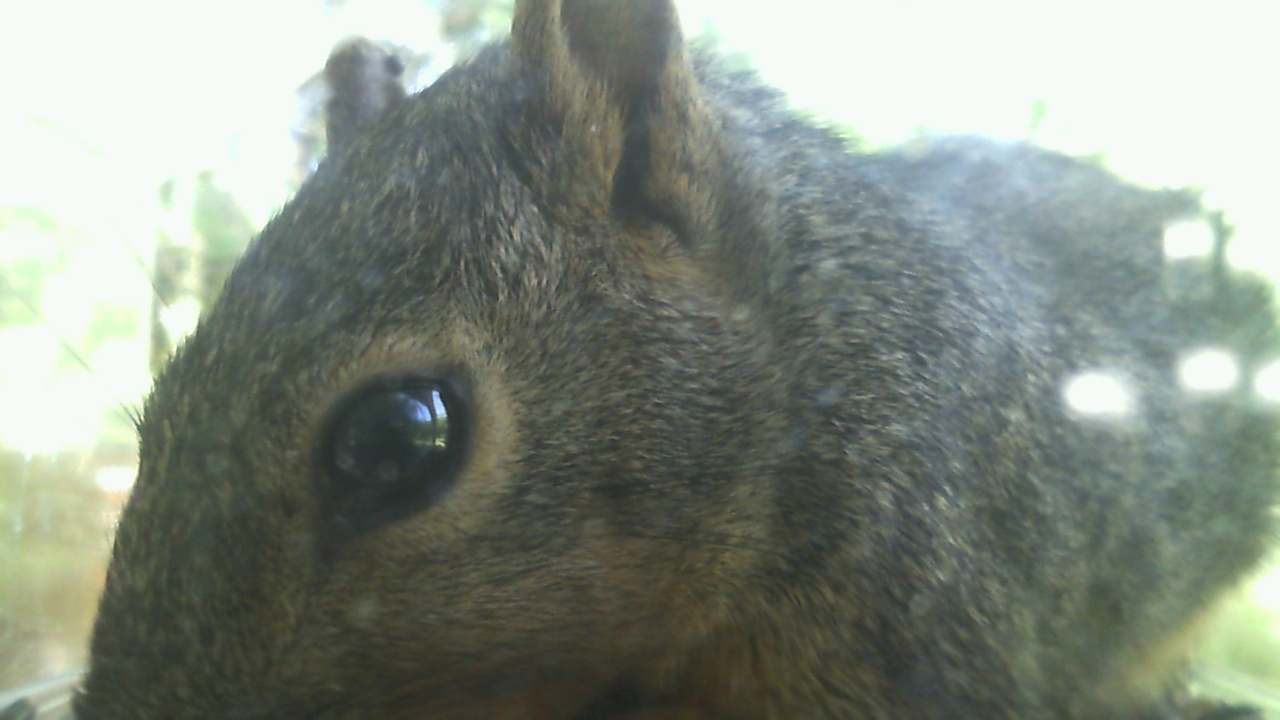 Unknown